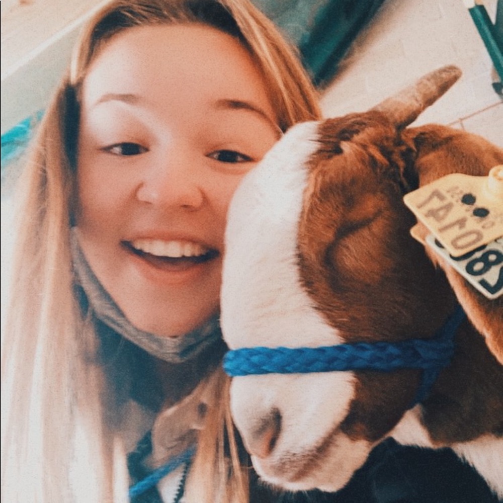 Meet your Posher, kate